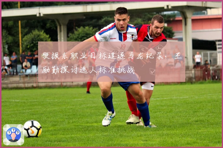 樊振东职业目标追逐马龙纪录，王励勤探讨选人标准挑战